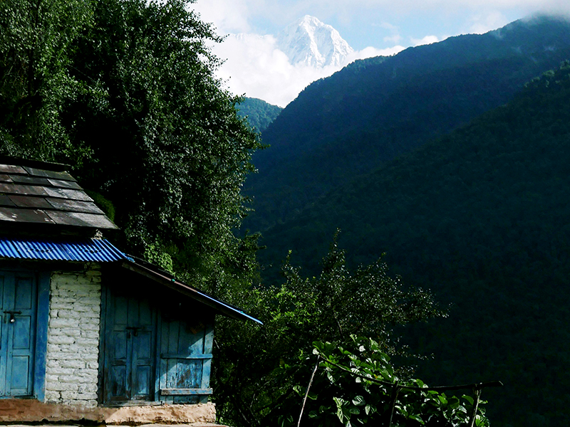 Small cabin with bright blue wooden doors nestled in the trees on the side of a mountain with majestic mountains in the background.